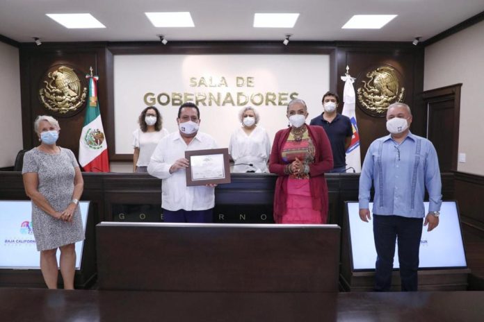 principal cmd_ reconocimiento 1